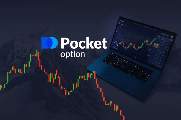 Top Alternatives to Pocket Option for Online Trading 1447491329 Top Alternatives to Pocket Option for Online Trading 1447491329
