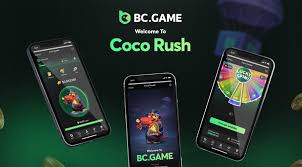 Exploring the Exciting World of BC.Game Hub