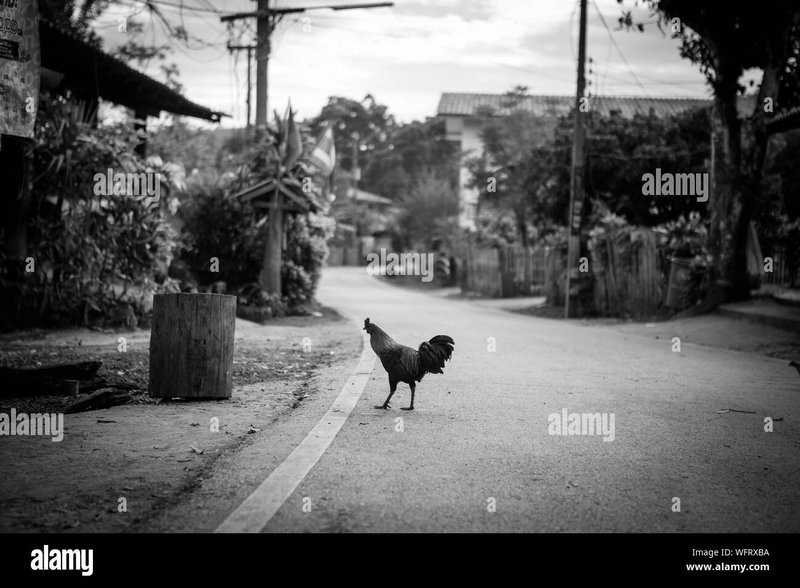 Descubre el Emocionante Juego de Azar de Chicken Road en España Online, chicken road casino Descubre el Emocionante Juego de Azar de Chicken Road en España Online, chicken road casino